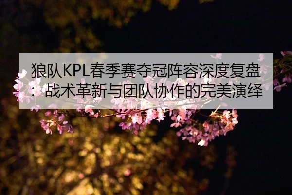 狼队KPL春季赛夺冠阵容深度复盘：战术革新与团队协作的完美演绎